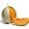melon charentais